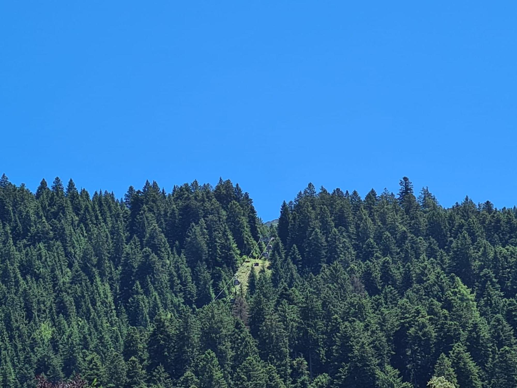 Appartamenti Croz Del Re Andalo Exteriér fotografie